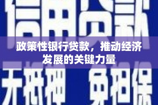 临西政策性银行贷款，推动经济发展的关键力量