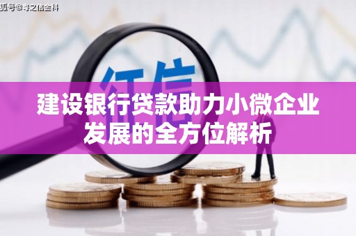 临西建设银行贷款助力小微企业发展的全方位解析