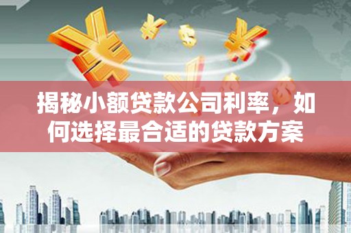 临西揭秘小额贷款公司利率，如何选择最合适的贷款方案