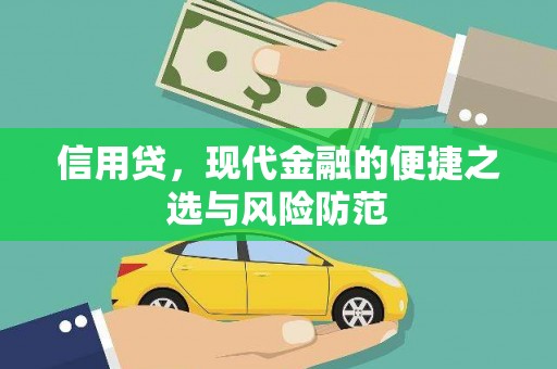 临西信用贷，现代金融的便捷之选与风险防范