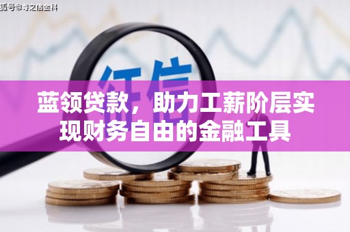 临西蓝领贷款，助力工薪阶层实现财务自由的金融工具