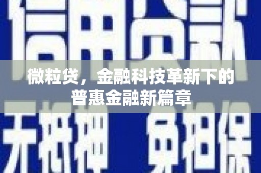 临西微粒贷，金融科技革新下的普惠金融新篇章