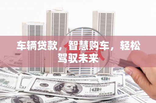 临西车辆贷款，智慧购车，轻松驾驭未来