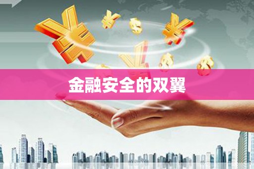 临西金融安全的双翼