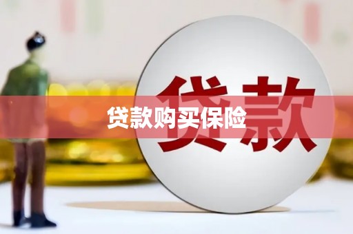 临西贷款购买保险