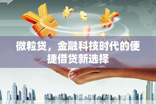 临西微粒贷，金融科技时代的便捷借贷新选择