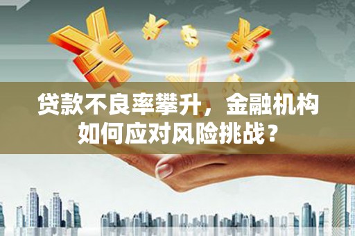 临西贷款不良率攀升，金融机构如何应对风险挑战？