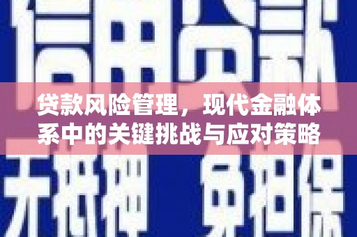 临西贷款风险管理，现代金融体系中的关键挑战与应对策略