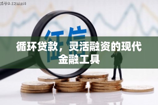 临西循环贷款，灵活融资的现代金融工具