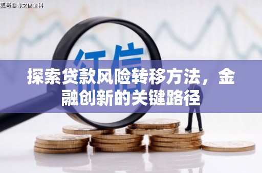临西探索贷款风险转移方法，金融创新的关键路径