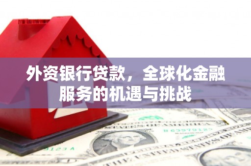 临西外资银行贷款，全球化金融服务的机遇与挑战