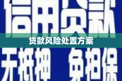 临西贷款风险处置方案