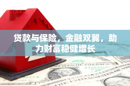 临西贷款与保险，金融双翼，助力财富稳健增长