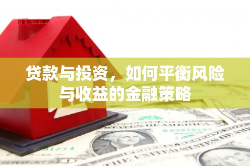临西贷款与投资，如何平衡风险与收益的金融策略