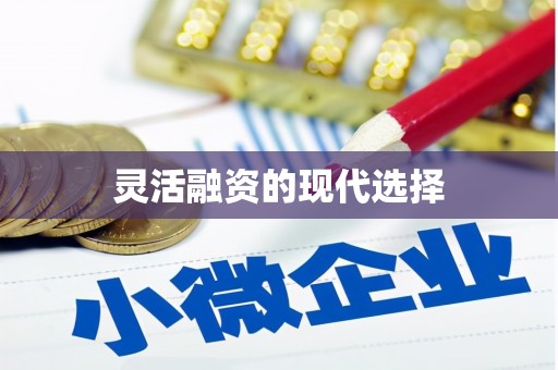 临西灵活融资的现代选择